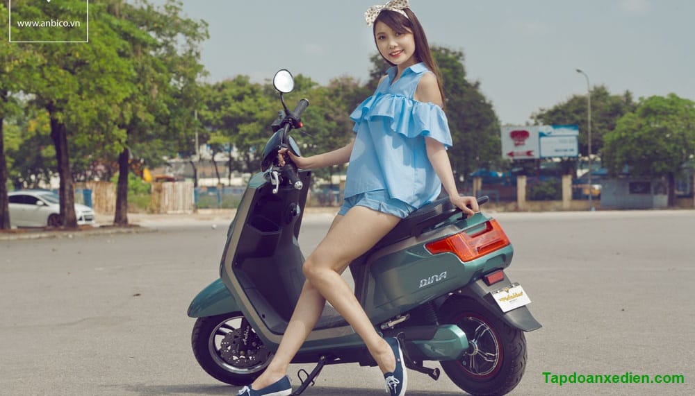 xe m&aacute;y điện Dina