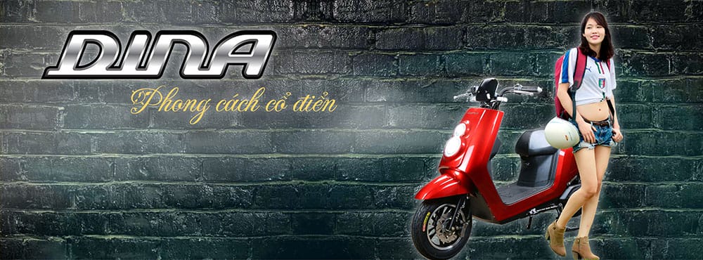 xe m&aacute;y điện Dina
