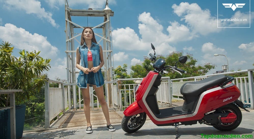 xe m&aacute;y điện Dina