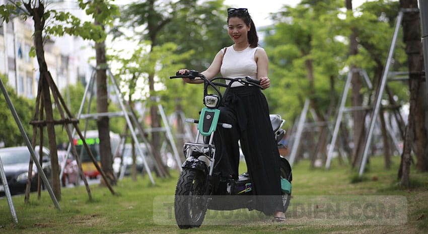 XE MÁY ĐIỆN GIANT M133DS