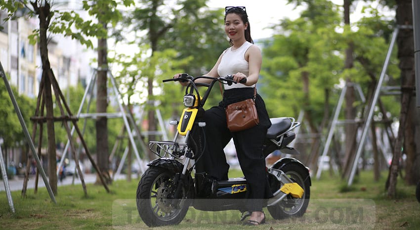 XE MÁY ĐIỆN GIANT M133DS