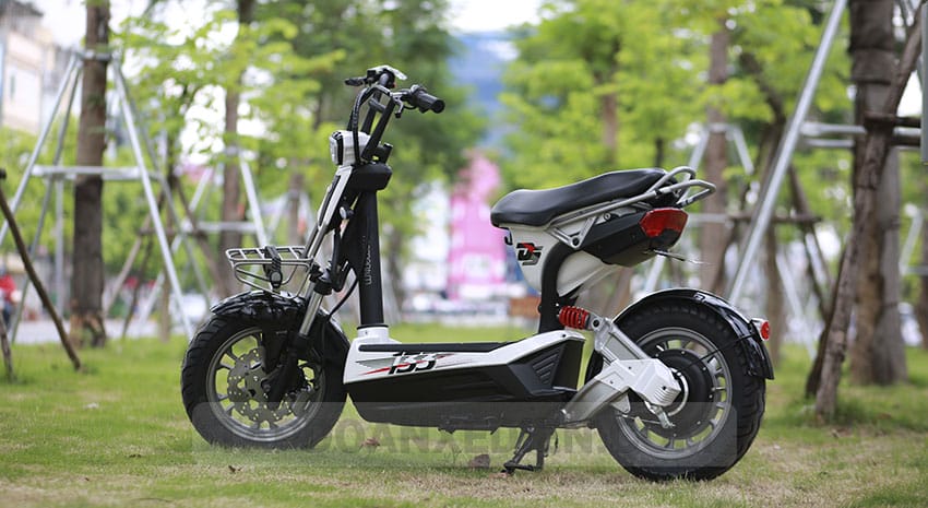 XE MÁY ĐIỆN GIANT M133DS