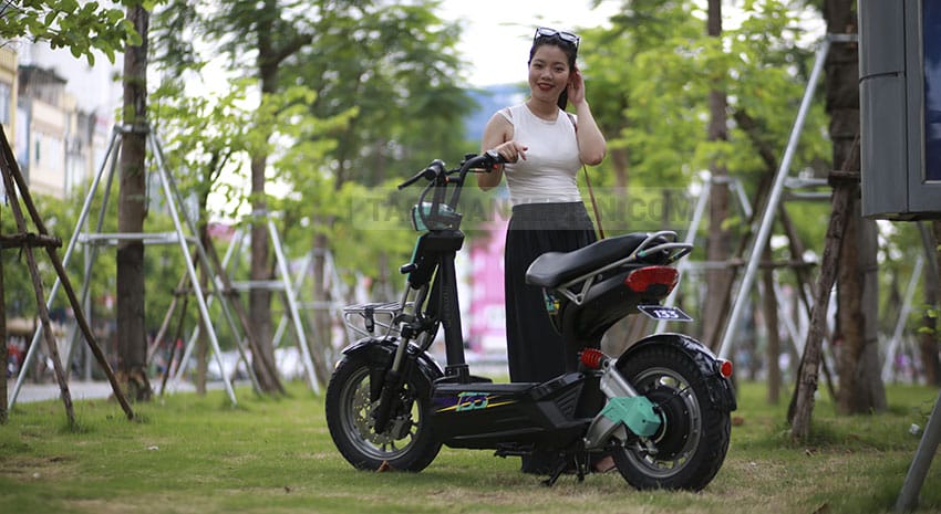 XE MÁY ĐIỆN GIANT M133DS