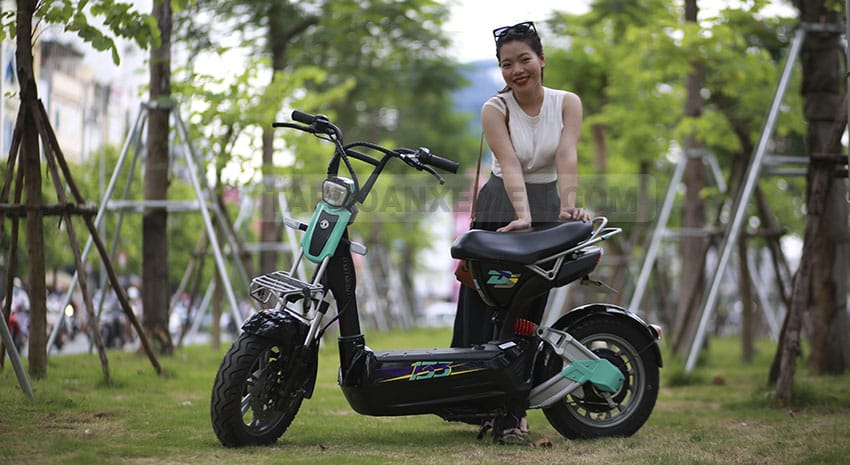 XE MÁY ĐIỆN GIANT M133DS