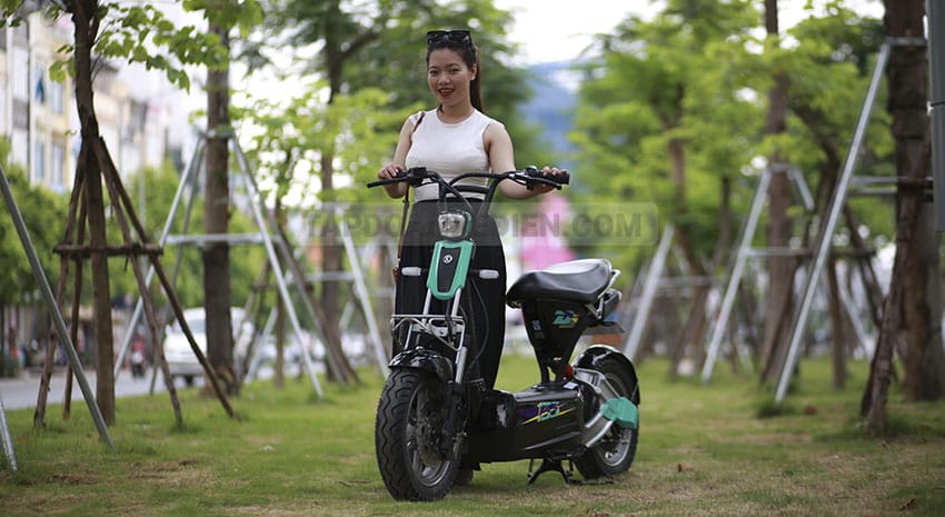 XE MÁY ĐIỆN GIANT M133DS