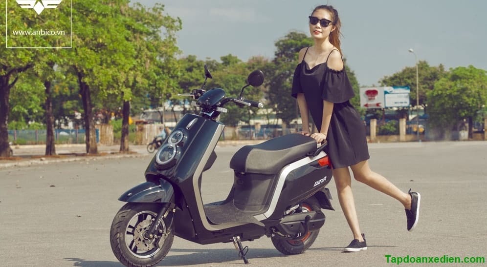 XE MÁY ĐIỆN DINA