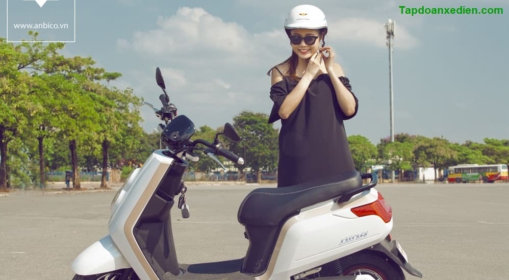 XE MÁY ĐIỆN DINA