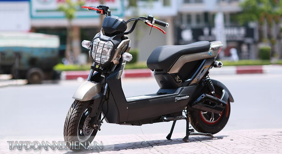 XE MÁY ĐIỆN ZOOMER 2017